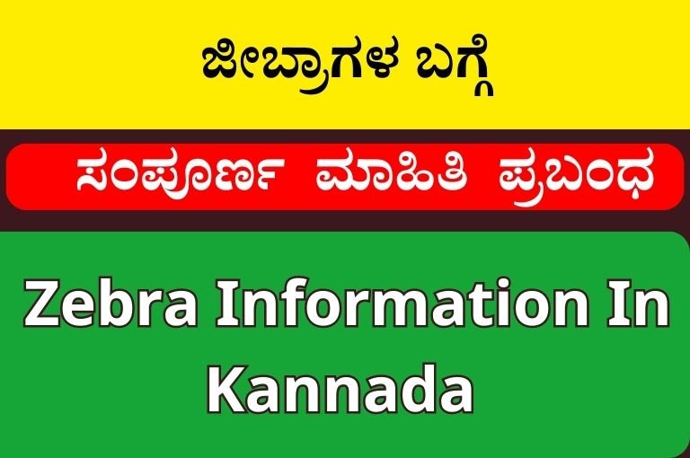 ಜೀಬ್ರಾಗಳ ಬಗ್ಗೆ | Zebra Information In Kannada